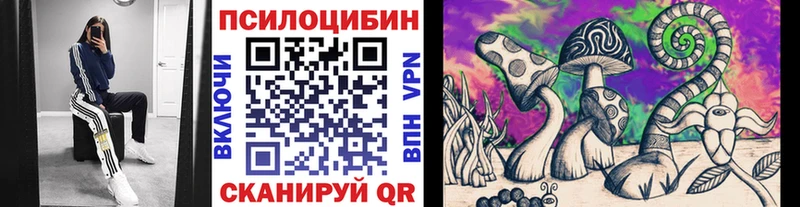 Купить  Первомайск  Галлюциногенные грибы Psilocybe 